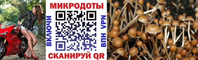это как зайти  Знаменск  Галлюциногенные грибы GOLDEN TEACHER  mega ССЫЛКА 