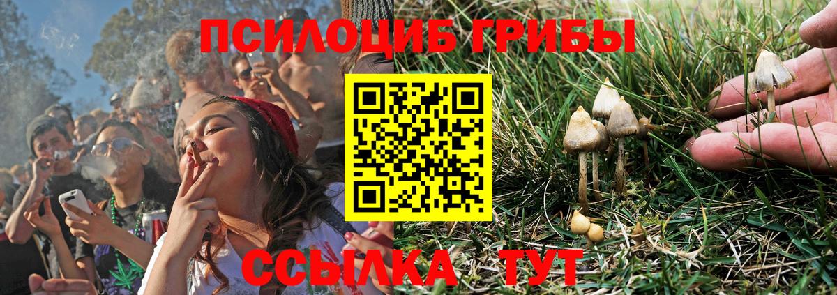 Псилоцибиновые грибы Magic Shrooms  Вход с VPN  Знаменск 